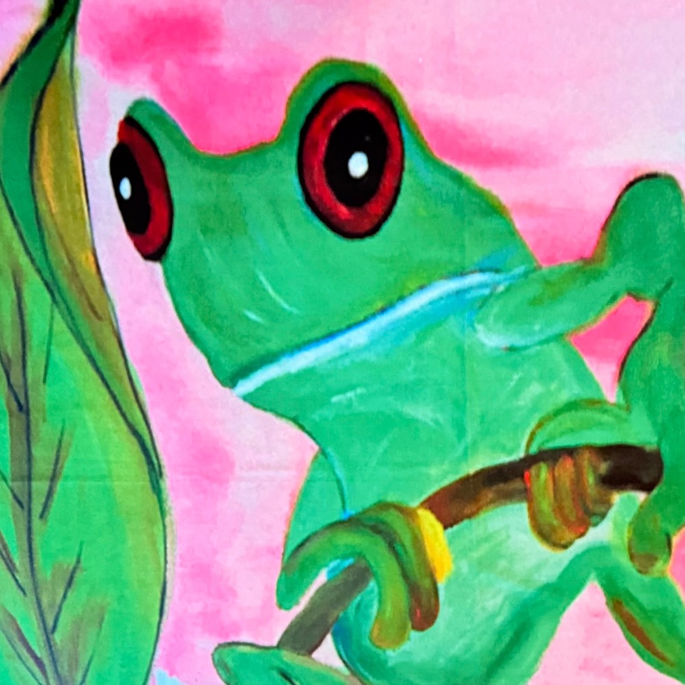 Red Eyed Tree Frog Shower Curtain Set Pink Frog Art + Croscill‎ Weighted Liner